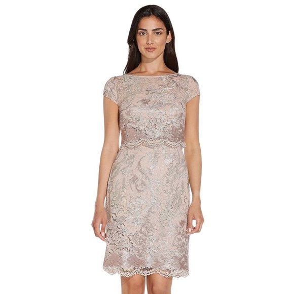 NWT Adrianna Papell Dusty Rose Embroidered Lace Popover Dress Size 2 NEW - Picture 2 of 15
